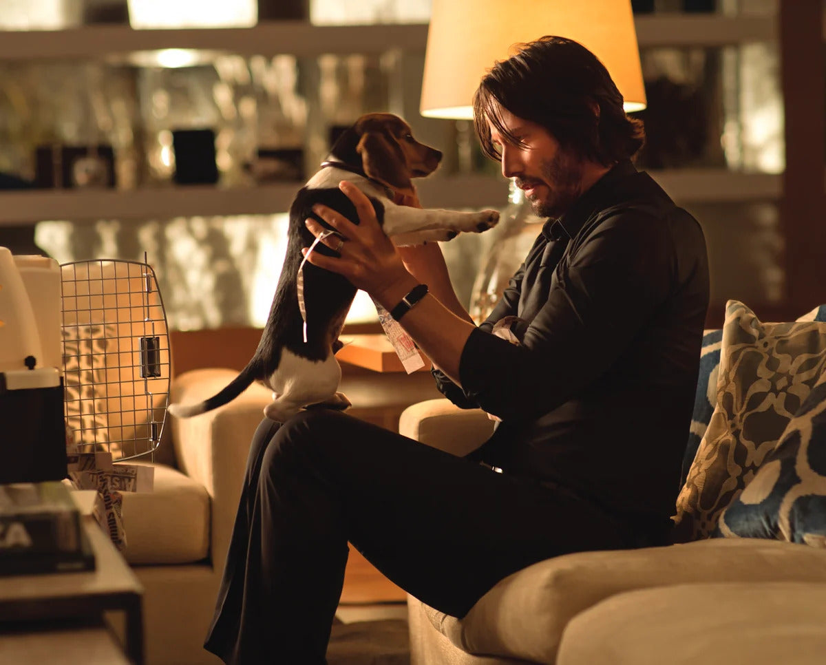 A scene from the film John Wick, in which John is holding his puppy in his warmly-lit living room at home.