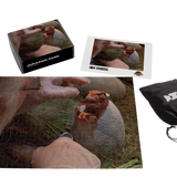 Jurassic Park