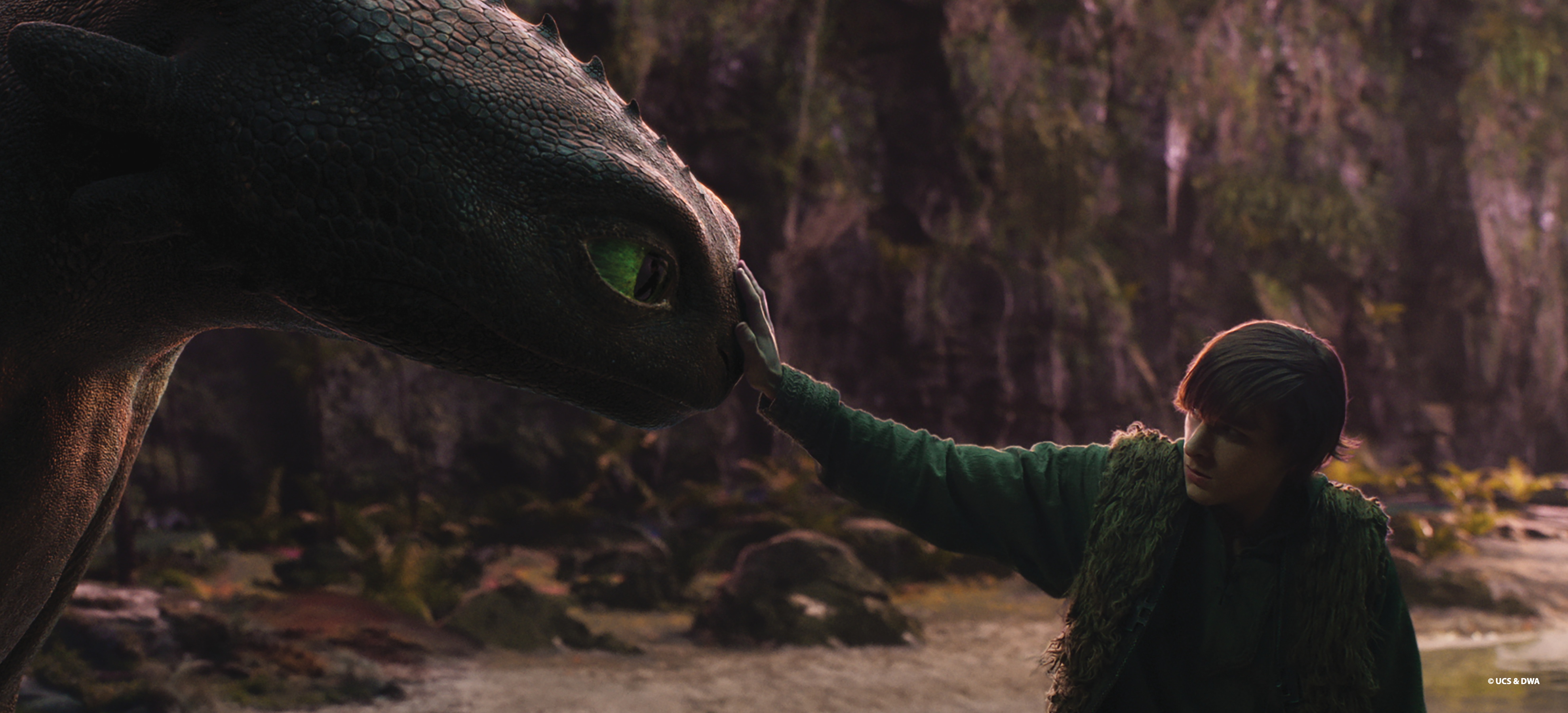 How to Train Your Dragon (Live Action)