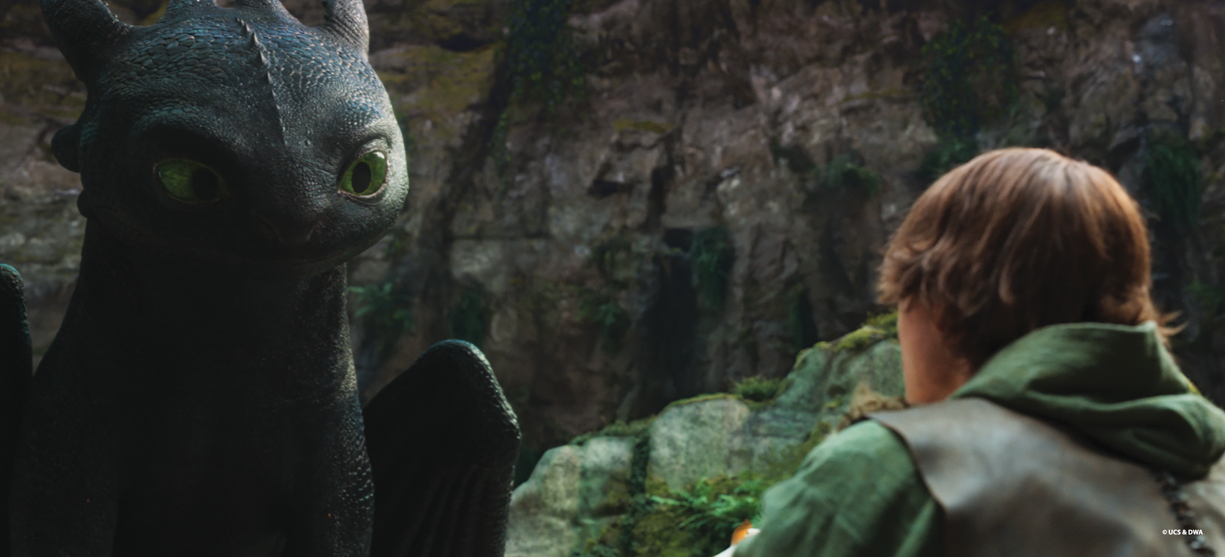 How to Train Your Dragon (Live Action)
