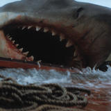 Jaws