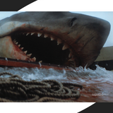 Jaws