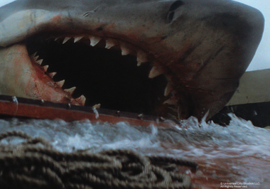 Jaws