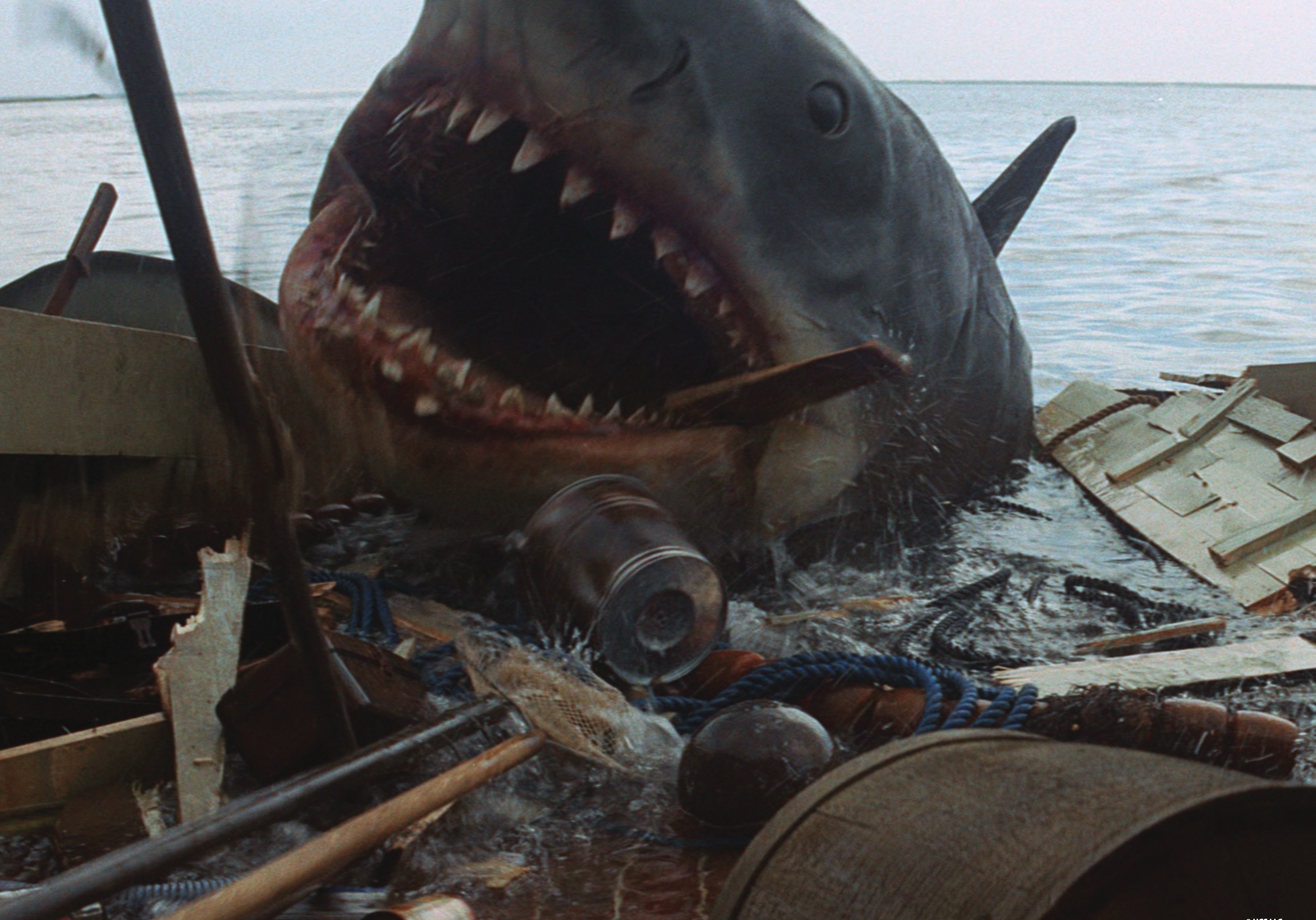 Jaws