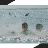 Jaws
