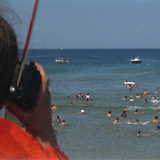 Jaws