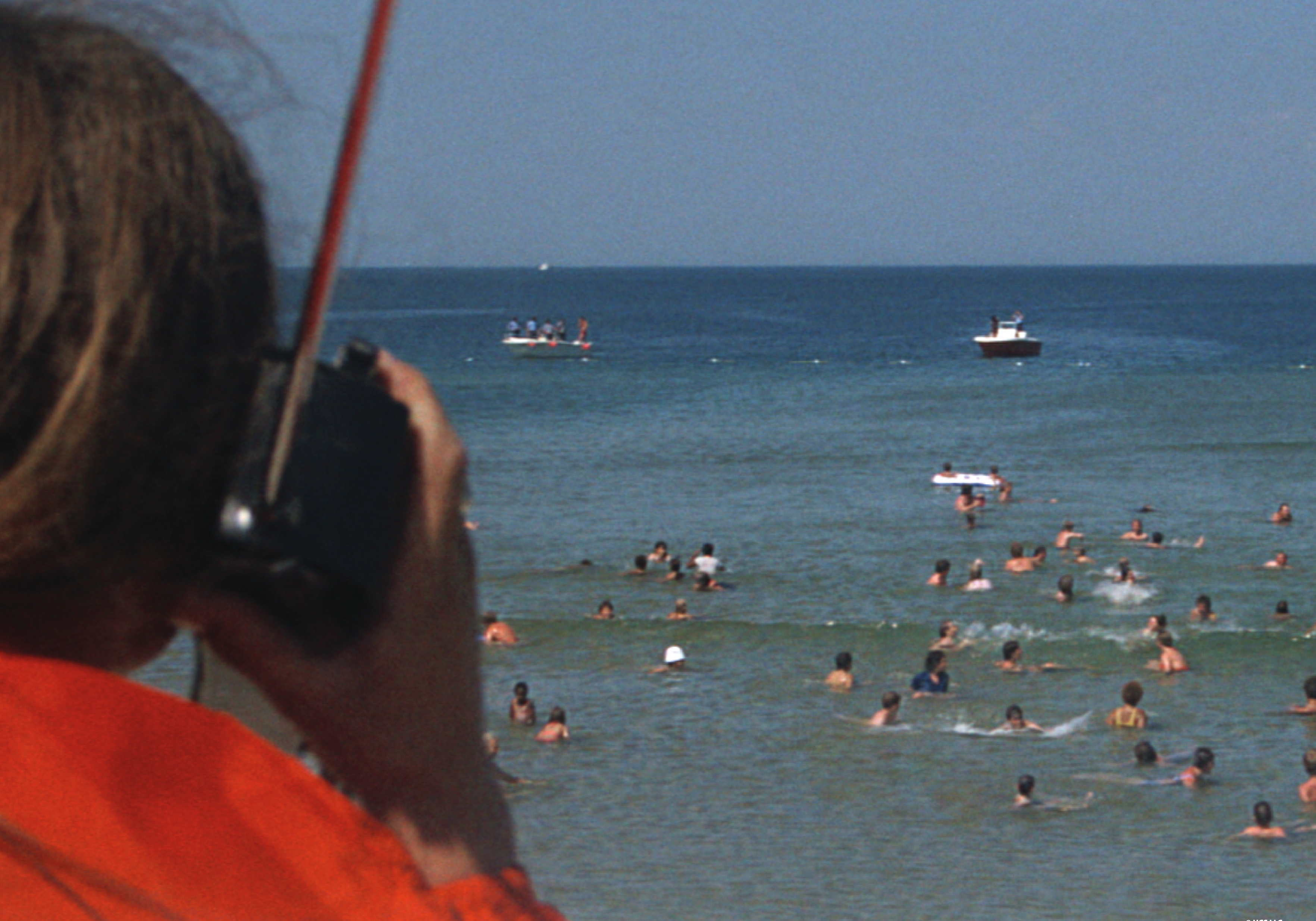 Jaws