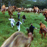 Jurassic Park III