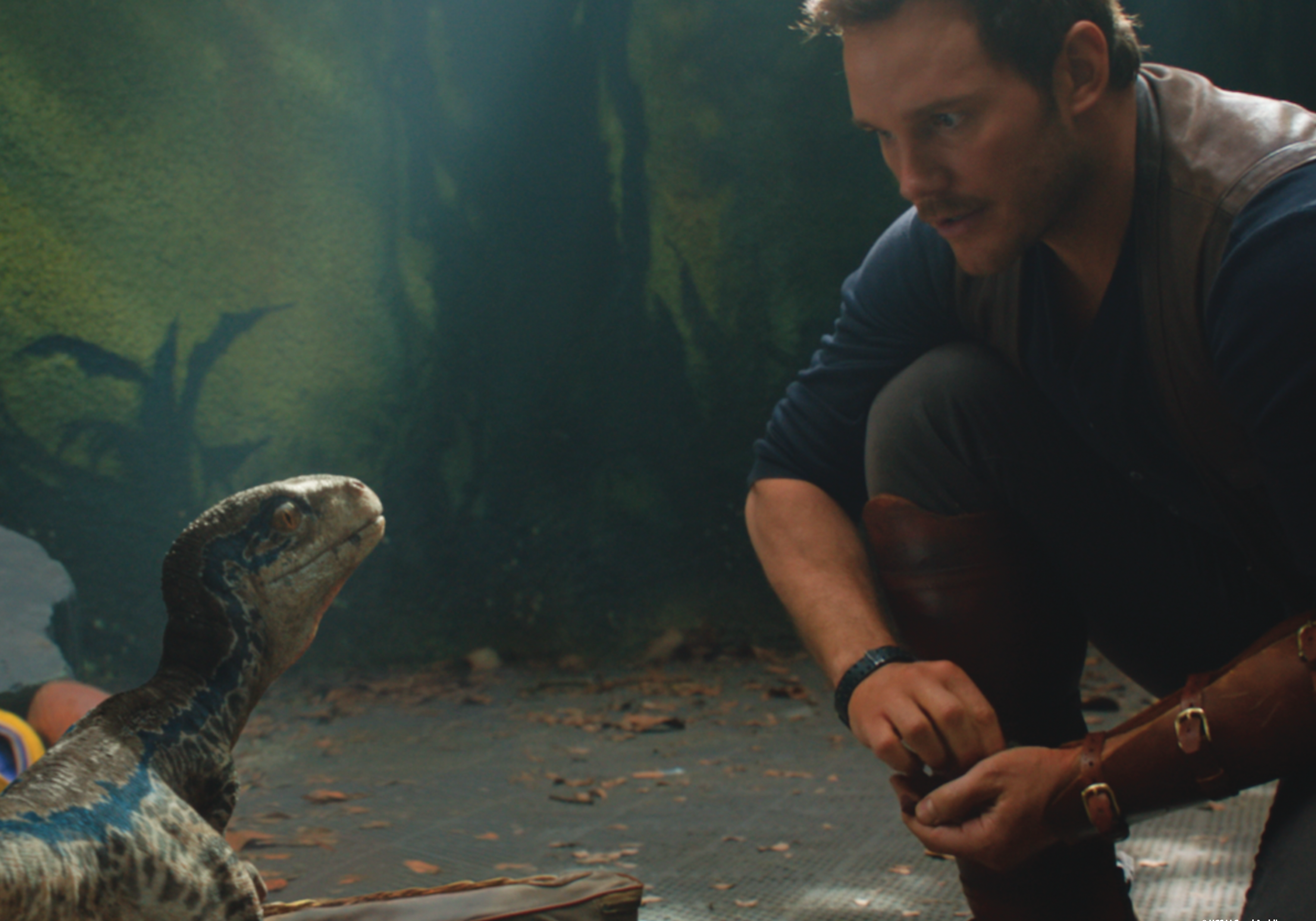 Jurassic World: Fallen Kingdom
