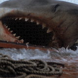 Jaws