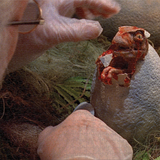 Jurassic Park