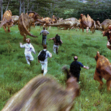 Jurassic Park III