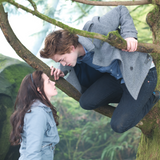 Twilight