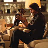 John Wick